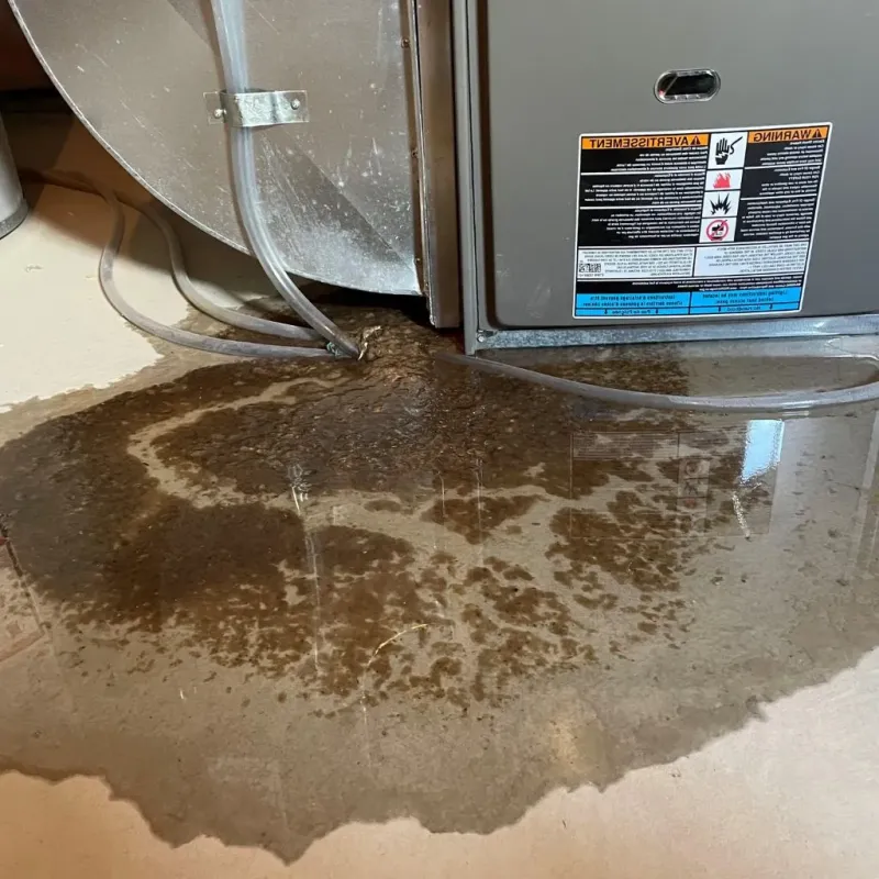 Pipe Burst and Leak Restoration in Cumberland, KY