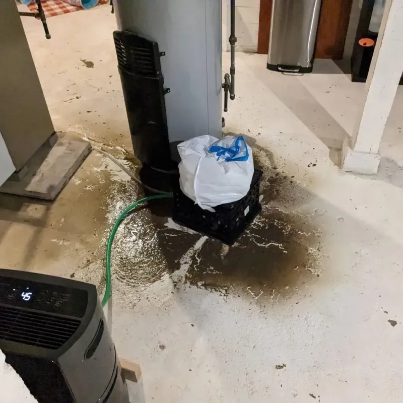 Sewage Backup Cleanup Service in Cumberland, KY